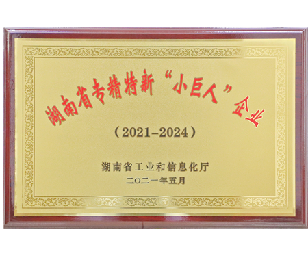 湖南省專精特新“小巨人”企業