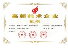 2020年高新技術企業