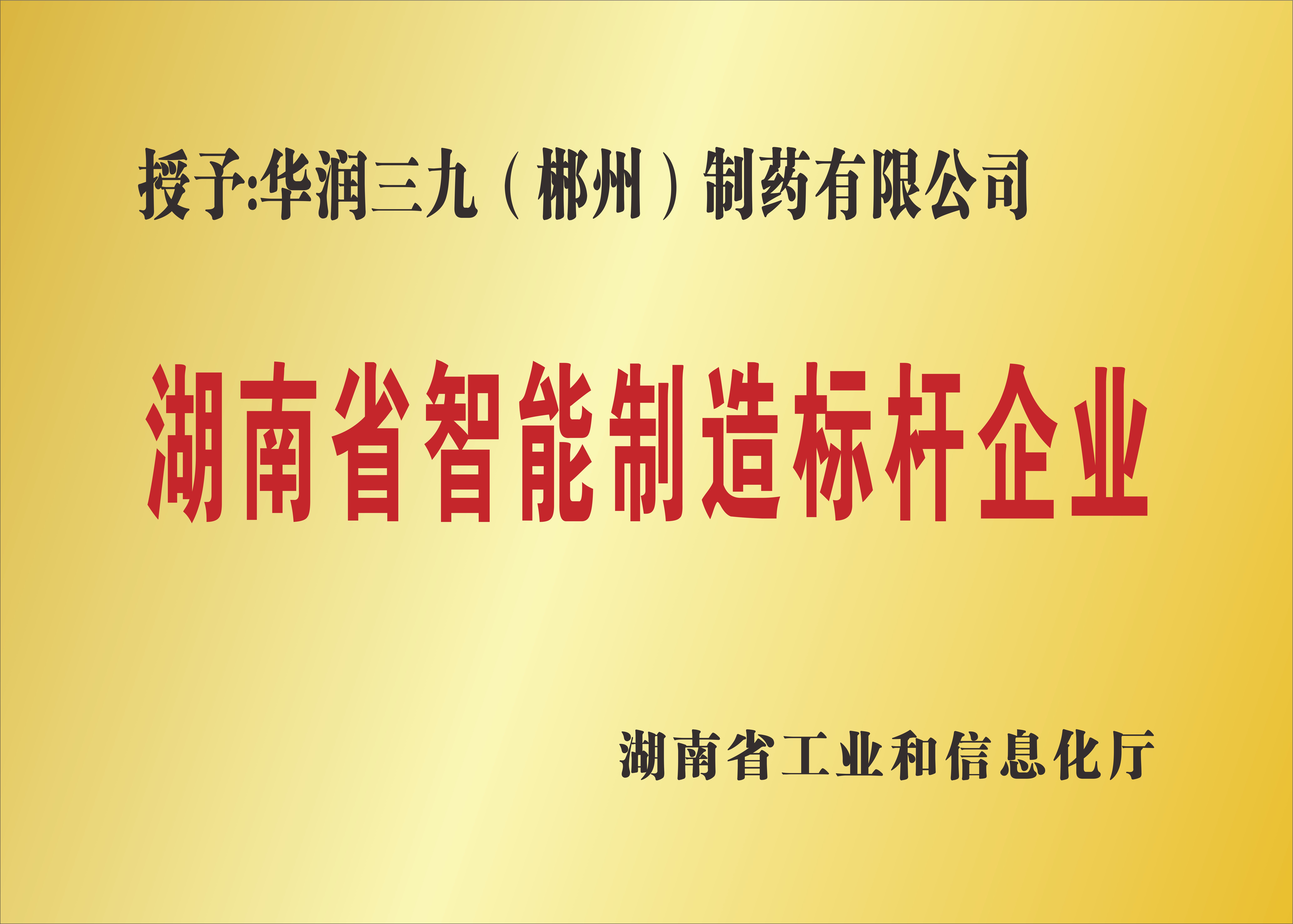 湖南省智能制造標桿企業.jpg