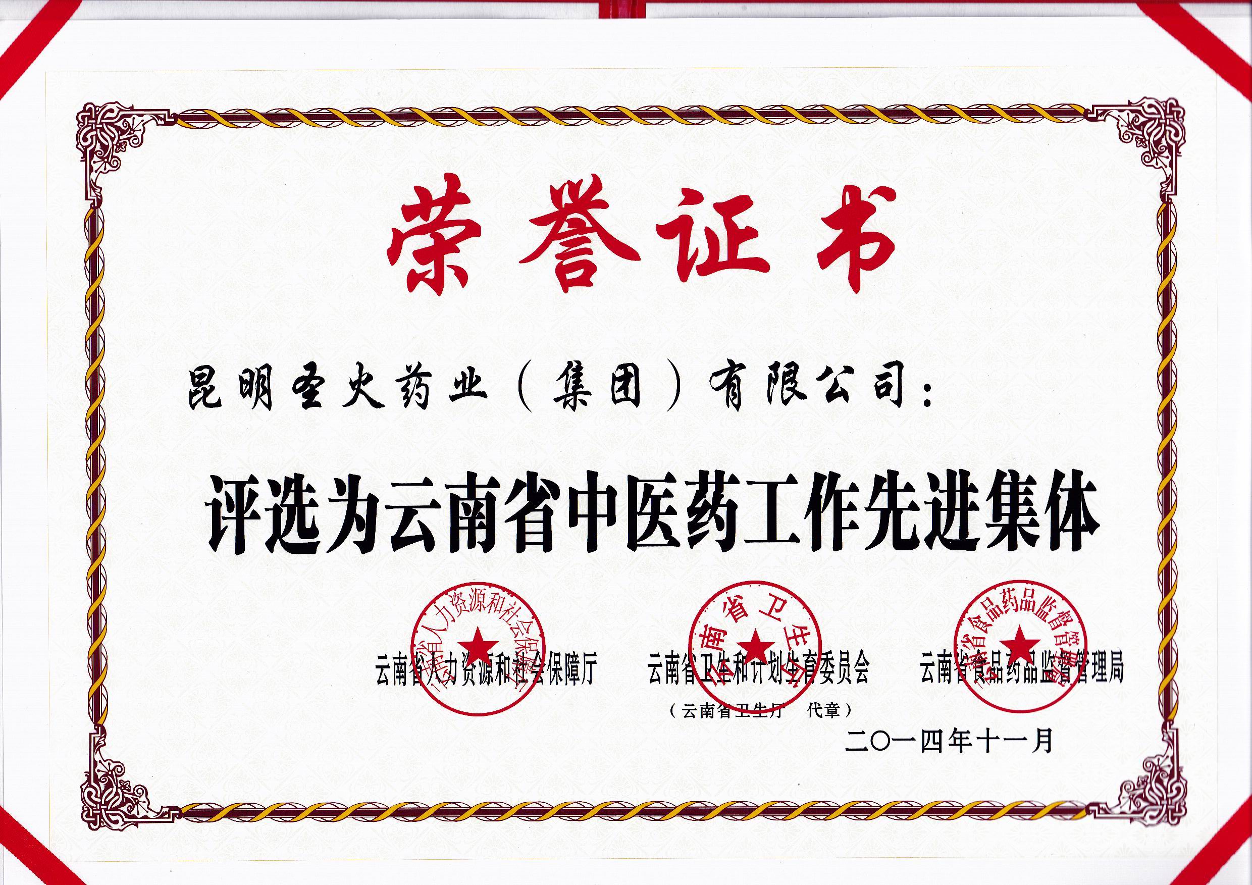 云南省中醫藥工作先進集團