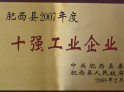 年度十強工業企業