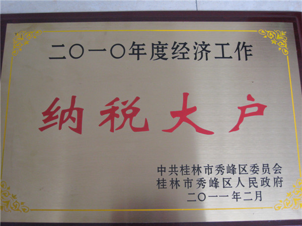 2010經濟工作納稅大戶